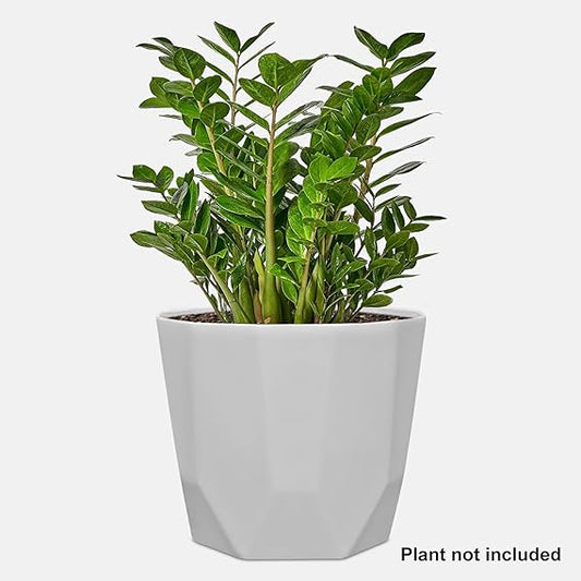 Hexa 8 Inch Pack of 3 Piece Plastic Plant Pot for Home Decor Indoor Plant Pots for Living Room Plastic Flower Pot for Garden